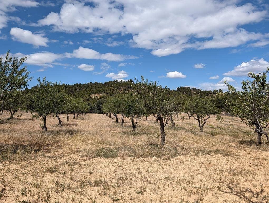 Finca/Landhuis te koop in Valjunquera - € 50.000 (Ref: 9150165)