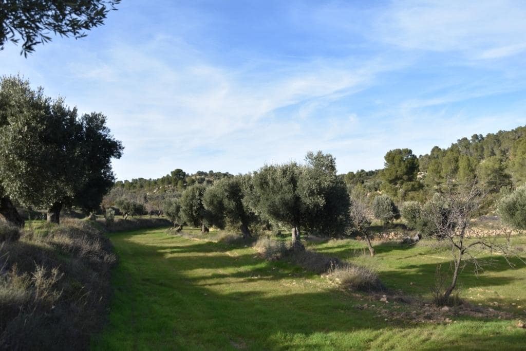 Finca/Landhuis te koop in Valjunquera - € 50.000 (Ref: 9150165)