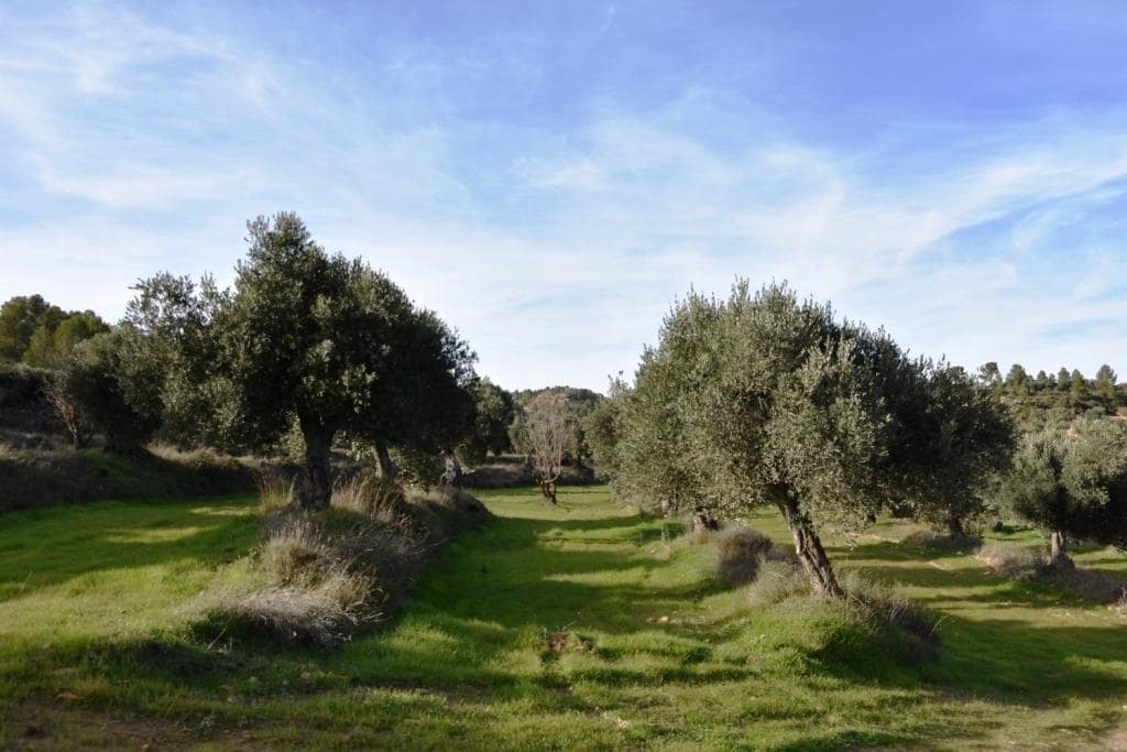 Finca/Landhuis te koop in Valjunquera - € 50.000 (Ref: 9150165)