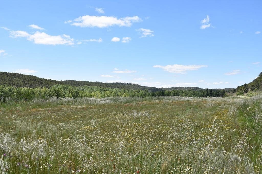 Finca/Landhuis te koop in Valderrobres - € 52.000 (Ref: 9150170)