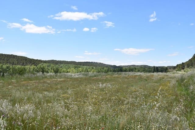 Finca/Landhuis te koop in Valderrobres - € 52.000 (Ref: 9150170)