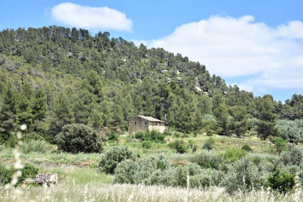 Finca/Landhuis te koop in Valderrobres - € 52.000 (Ref: 9150170)