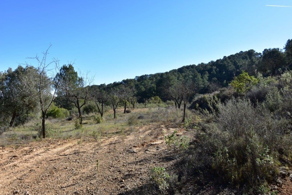 Finca/Landehus til salg i Arens de Lledo - € 34.000 (Ref: 9150171)