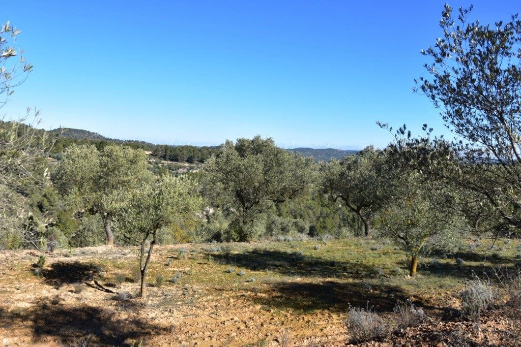Finca/Landehus til salg i Arens de Lledo - € 34.000 (Ref: 9150171)