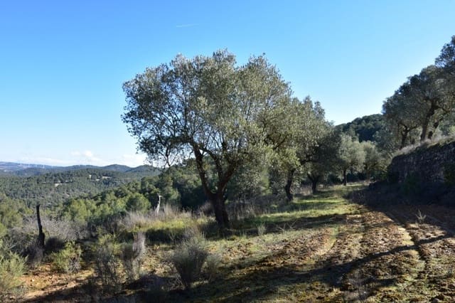 Finca/Herregård til salgs i Arens de Lledó - € 34 000 (Ref: 9150171)