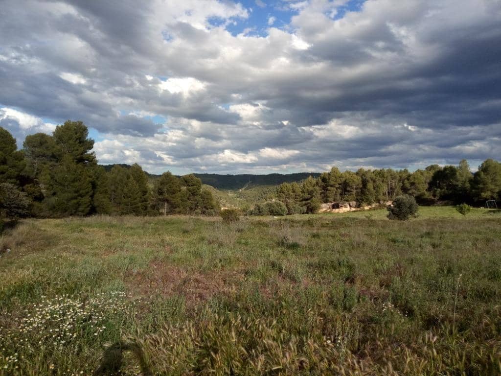 4 slaapkamer Finca/Landhuis te koop in La Fresneda - € 38.000 (Ref: 9150172)