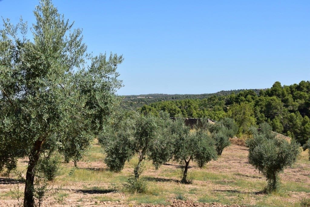 Finca/Herregård til salgs i Cretas - € 80 000 (Ref: 9150174)