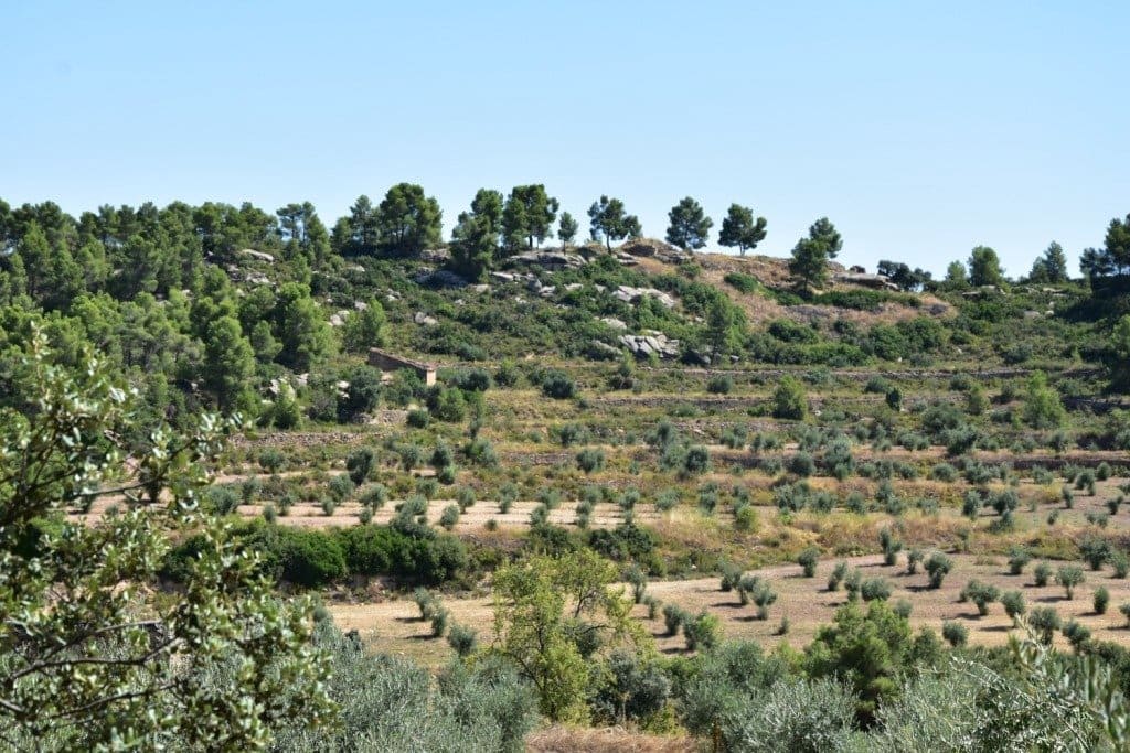 Finca/Herregård til salgs i Cretas - € 80 000 (Ref: 9150174)