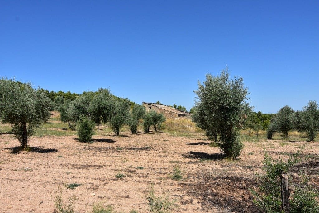 Finca/Herregård til salgs i Cretas - € 80 000 (Ref: 9150174)