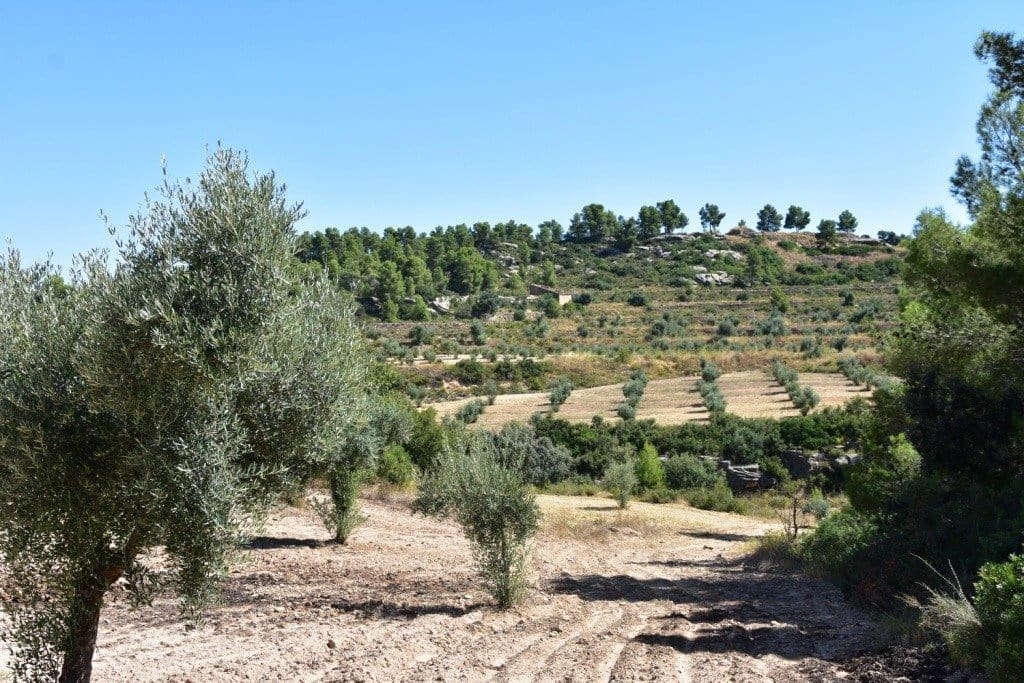 Finca/Herregård til salgs i Cretas - € 80 000 (Ref: 9150174)