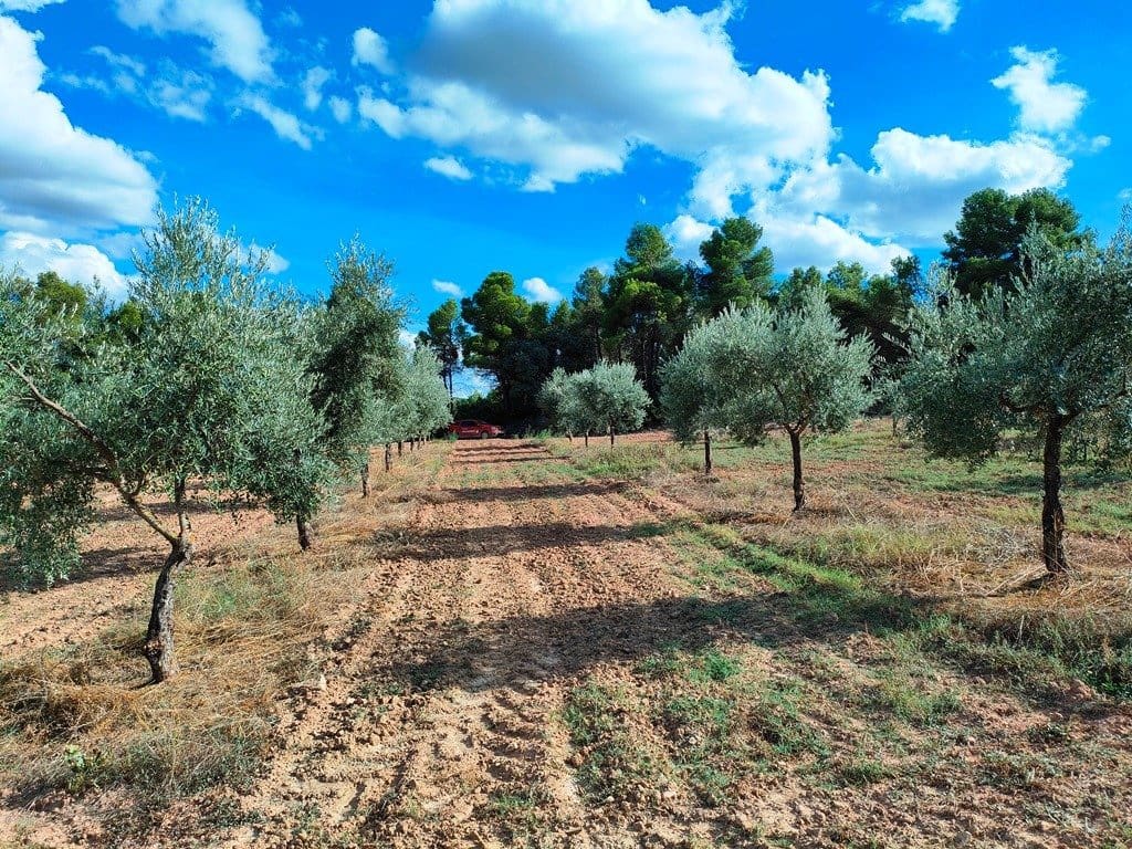 Finca/Herregård til salgs i Cretas - € 80 000 (Ref: 9150174)