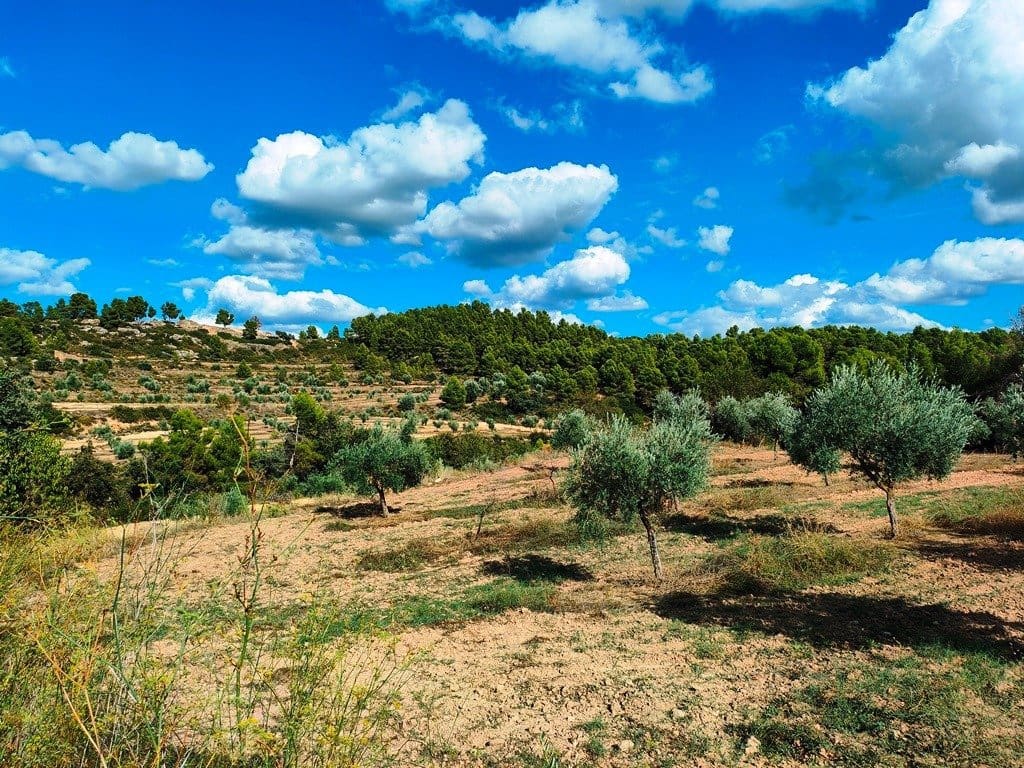 Finca/Herregård til salgs i Cretas - € 80 000 (Ref: 9150174)