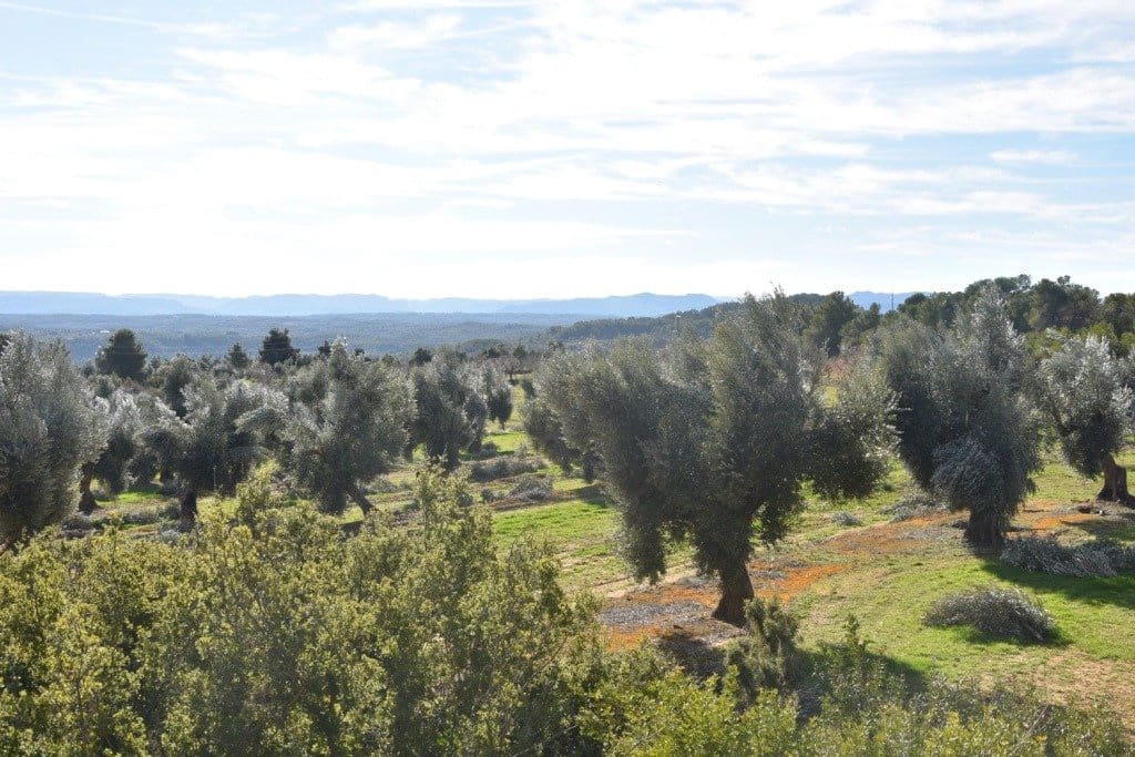 Finca/Herregård til salgs i Mazaleon - € 50 000 (Ref: 9150178)