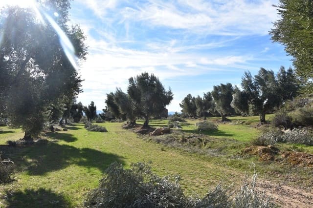 Finca/Herregård til salgs i Mazaleón - € 50 000 (Ref: 9150178)