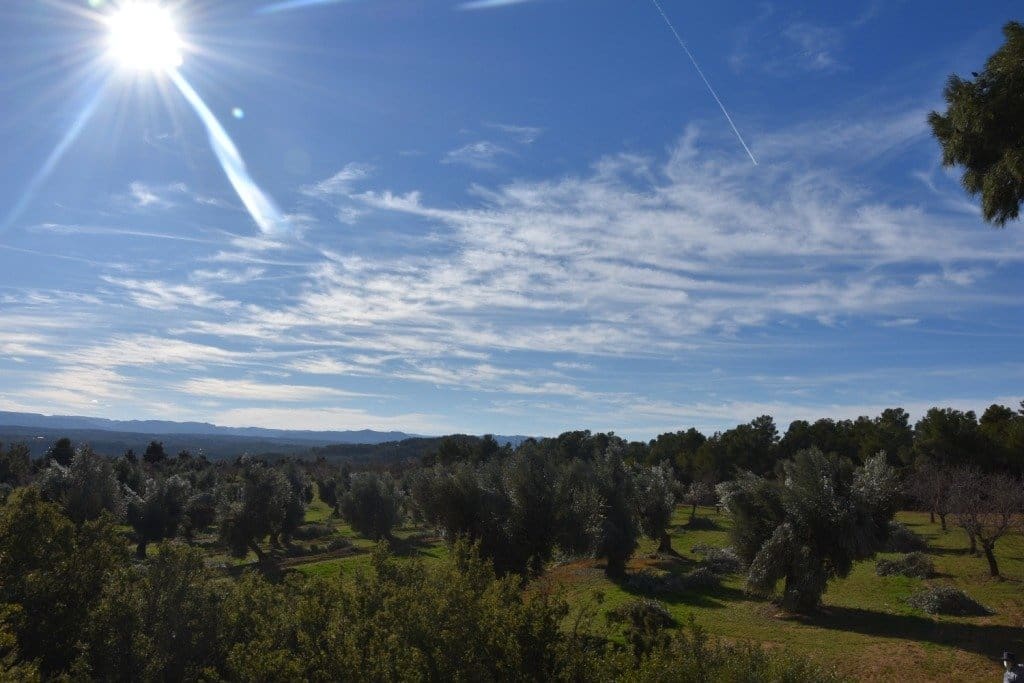 Finca/Herregård til salgs i Mazaleon - € 50 000 (Ref: 9150178)