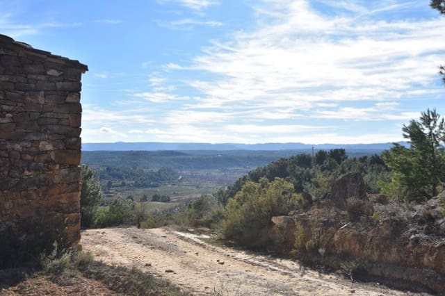 Finca/Herregård til salgs i Mazaleón - € 50 000 (Ref: 9150178)