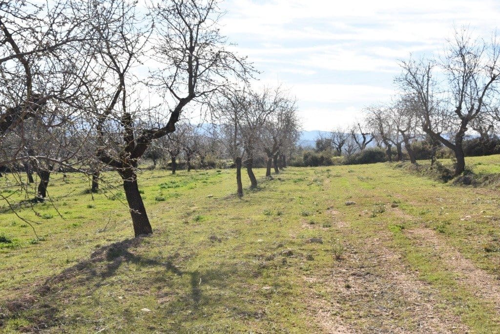 Finca/Herregård til salgs i Mazaleon - € 50 000 (Ref: 9150178)