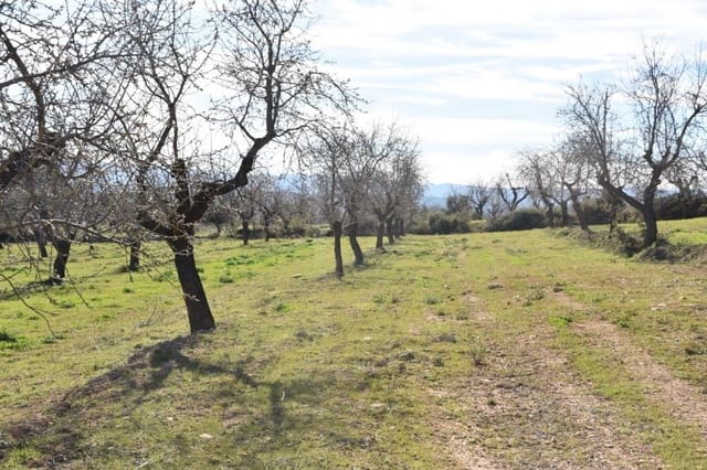 Finca/Herregård til salgs i Mazaleón - € 50 000 (Ref: 9150178)