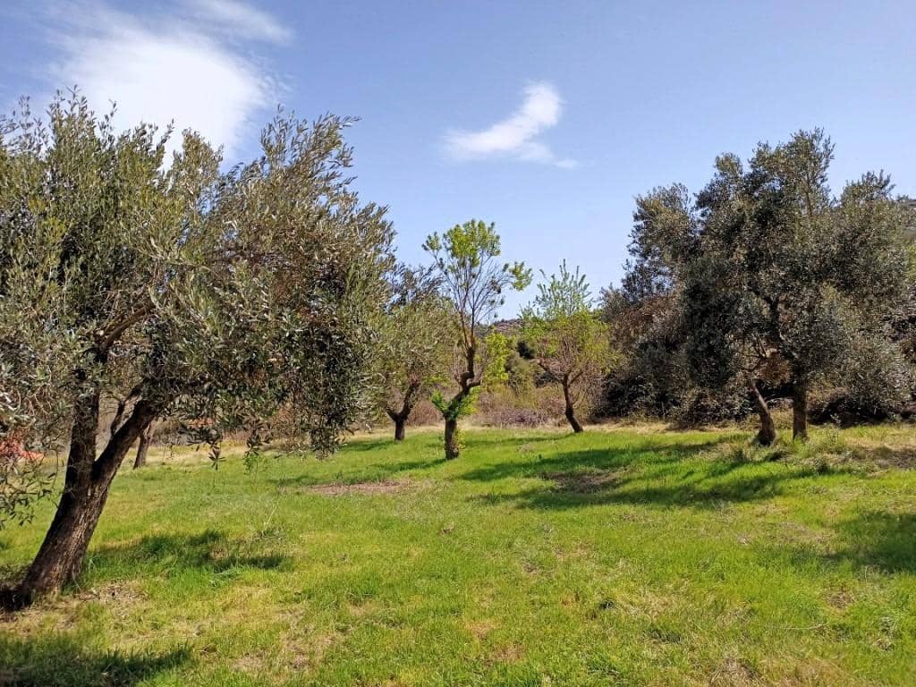 Finca/Landehus til salg i Beceite - € 38.000 (Ref: 9150182)