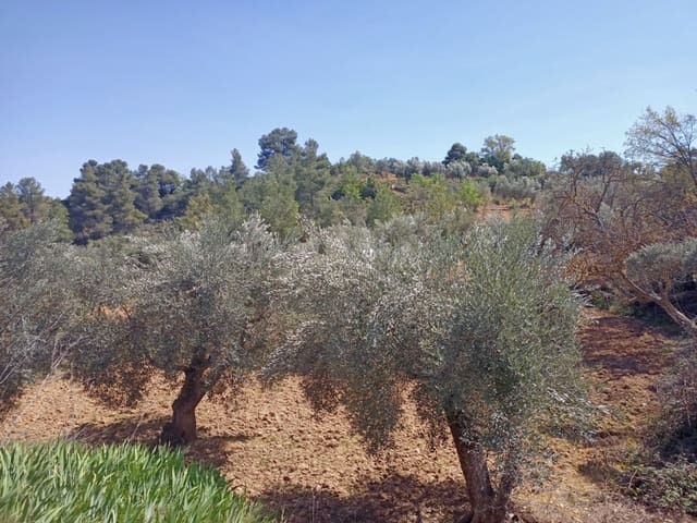 Finca/Herregård til salgs i Cretas - € 17 000 (Ref: 9150183)