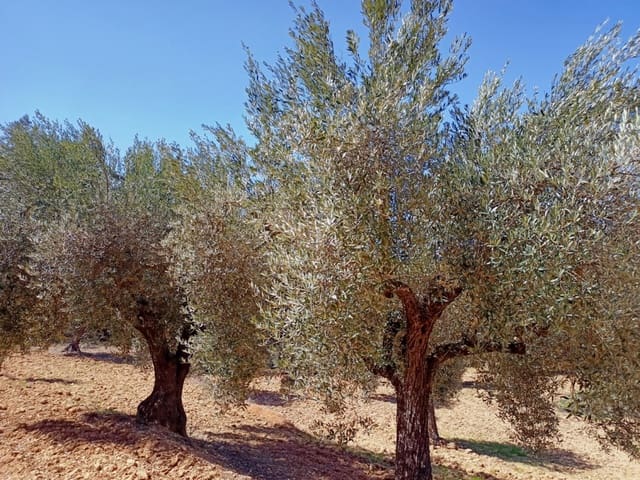 Finca/Herregård til salgs i Cretas - € 17 000 (Ref: 9150183)