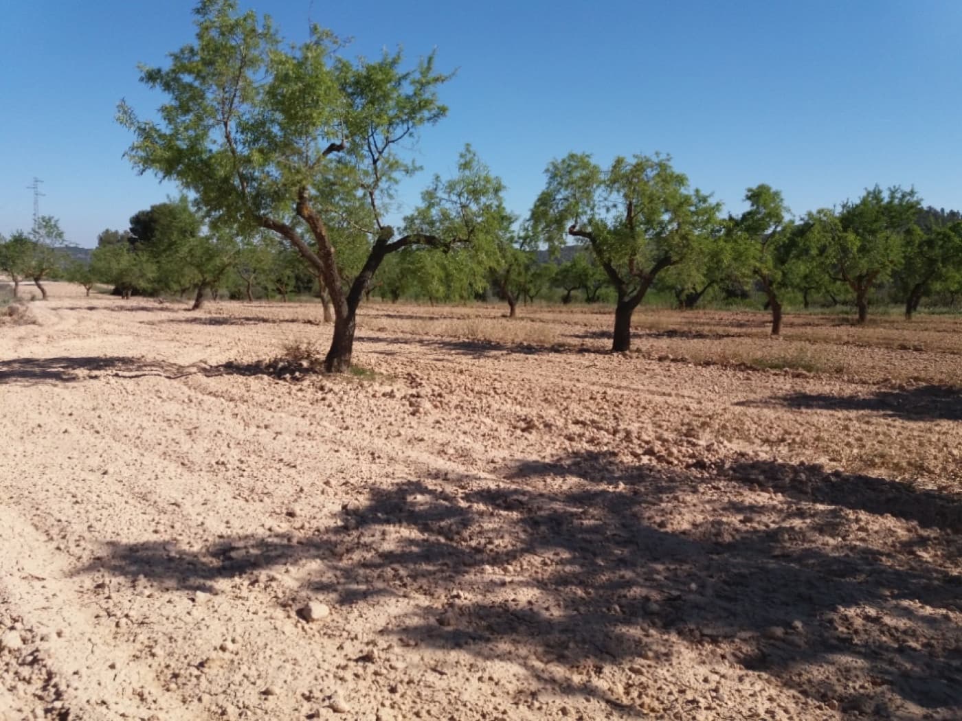 Finca/Landhuis te koop in Valdeltormo - € 19.500 (Ref: 9150185)