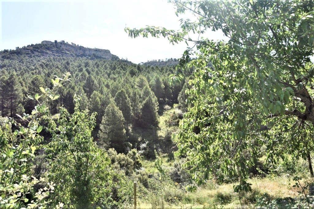 Finca/Landehus til salg i Penarroya de Tastavins - € 85.000 (Ref: 9150189)