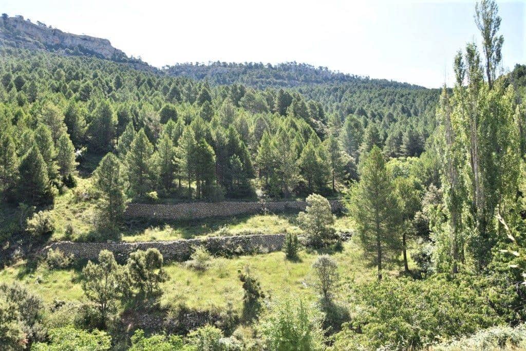 Finca/Landehus til salg i Penarroya de Tastavins - € 85.000 (Ref: 9150189)