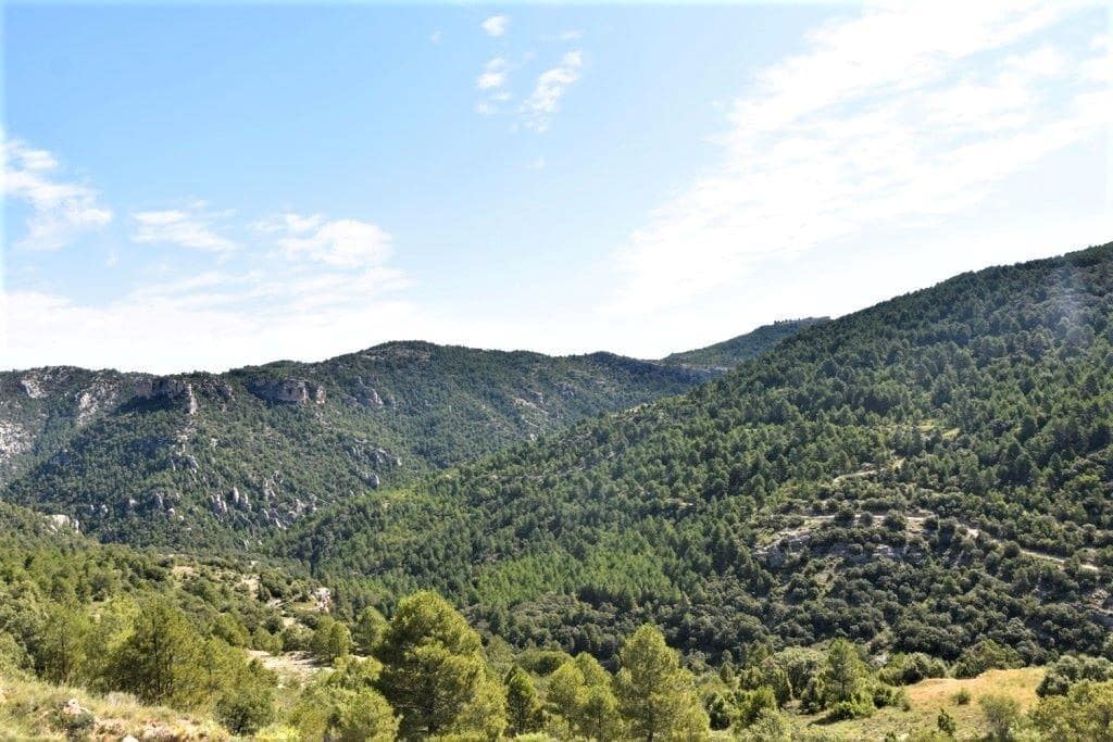 Finca/Landehus til salg i Penarroya de Tastavins - € 85.000 (Ref: 9150189)