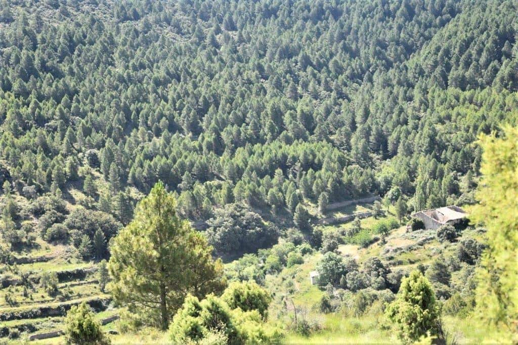 Finca/Landehus til salg i Penarroya de Tastavins - € 85.000 (Ref: 9150189)