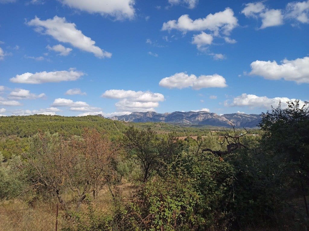 Działka budowlana na sprzedaż w Lledo - 18 000 € (Ref: 9150191)