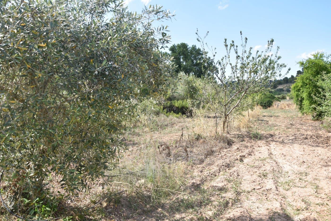 Finca/Herregård til salgs i Mazaleon - € 18 000 (Ref: 9150195)