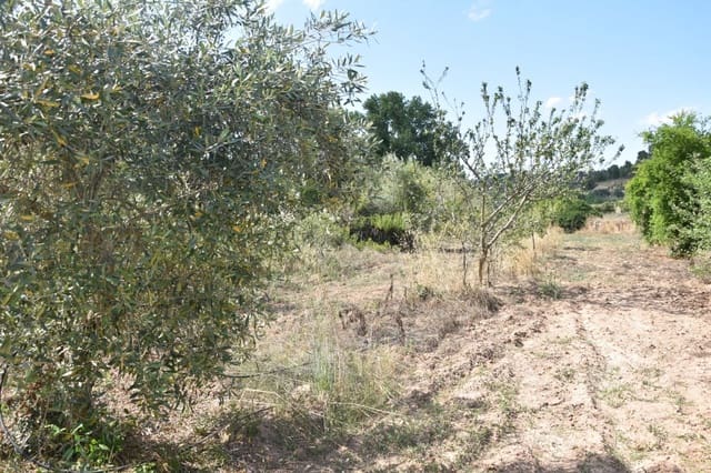 Finca/Herregård til salgs i Mazaleón - € 18 000 (Ref: 9150195)