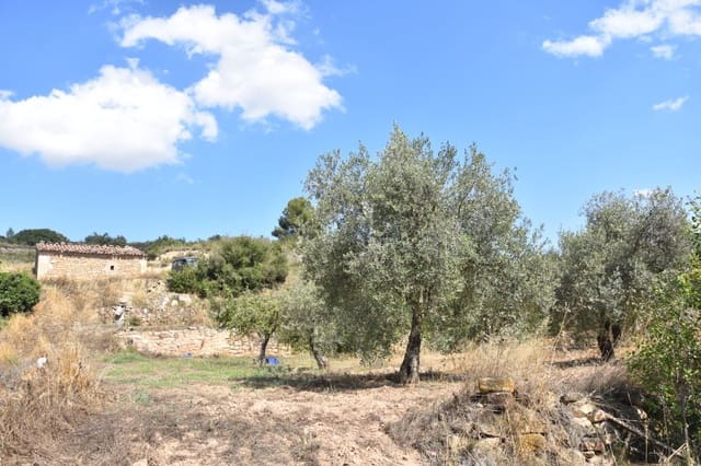 Finca/Herregård til salgs i Mazaleón - € 18 000 (Ref: 9150195)