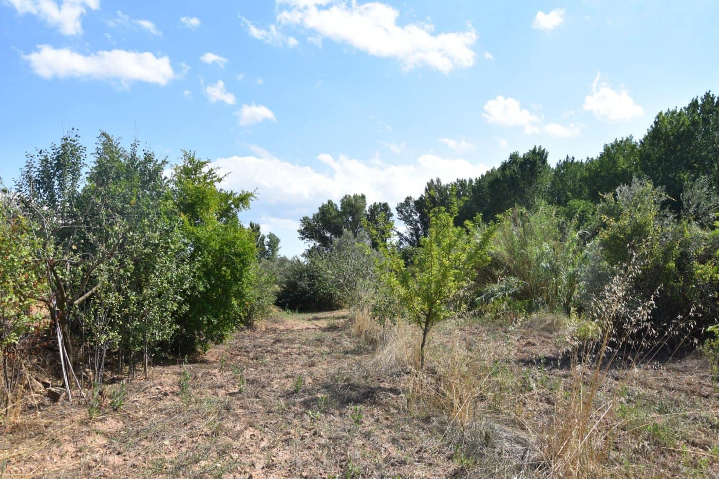 Finca/Herregård til salgs i Mazaleon - € 18 000 (Ref: 9150195)