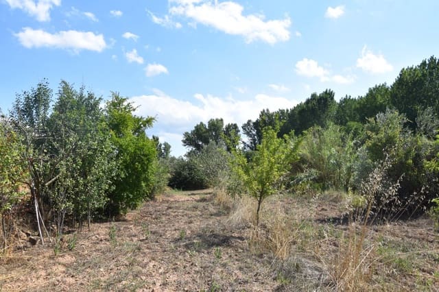 Finca/Herregård til salgs i Mazaleón - € 18 000 (Ref: 9150195)