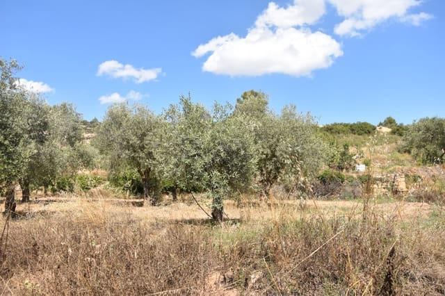 Finca/Herregård til salgs i Mazaleón - € 18 000 (Ref: 9150195)