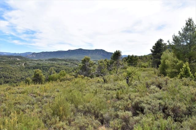 Finca/Landhuis te koop in Valderrobres - € 32.000 (Ref: 9150196)