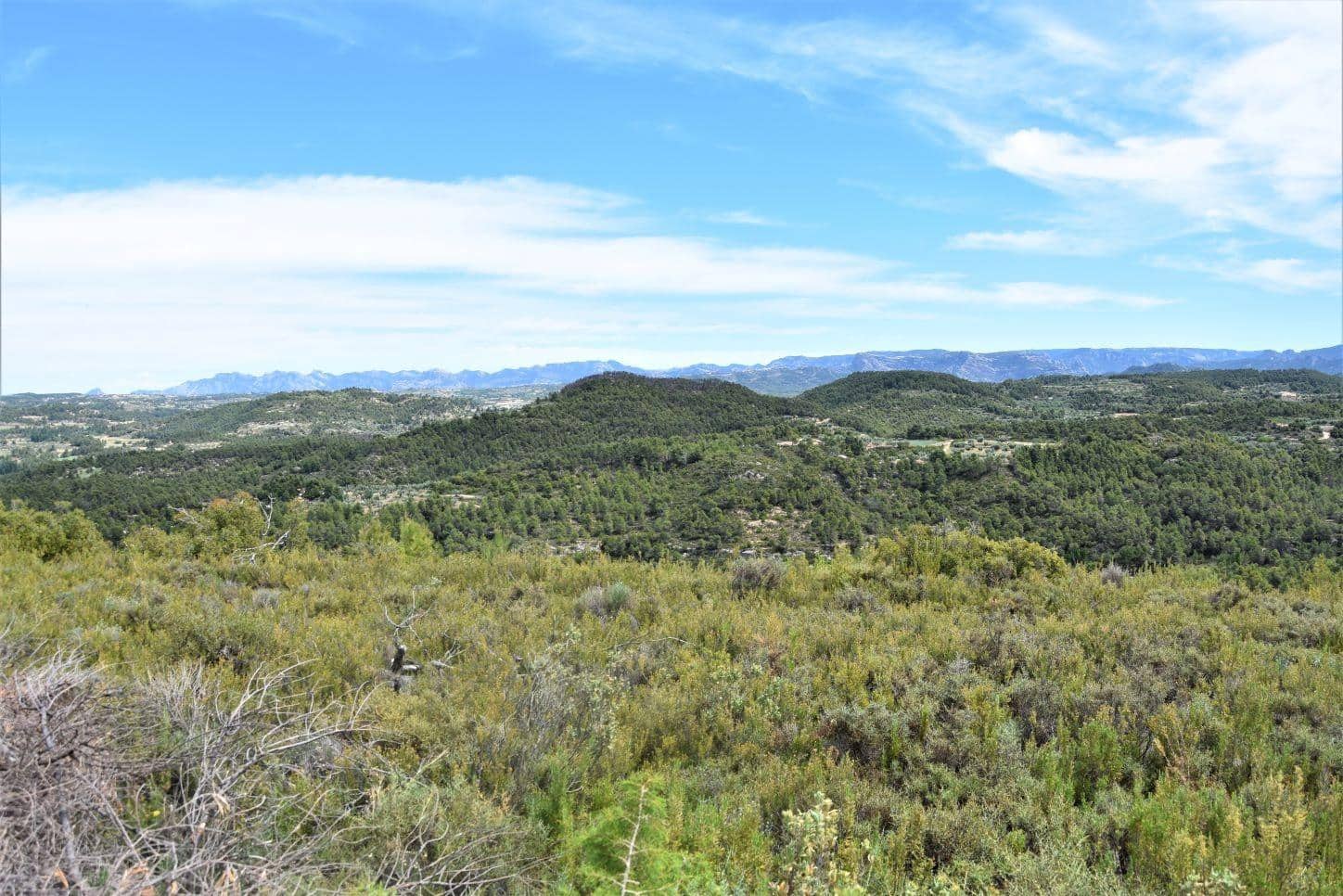 Finca/Landehus til salg i Valderrobres - € 32.000 (Ref: 9150196)