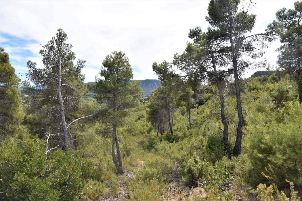 Finca/Landehus til salg i Valderrobres - € 32.000 (Ref: 9150196)