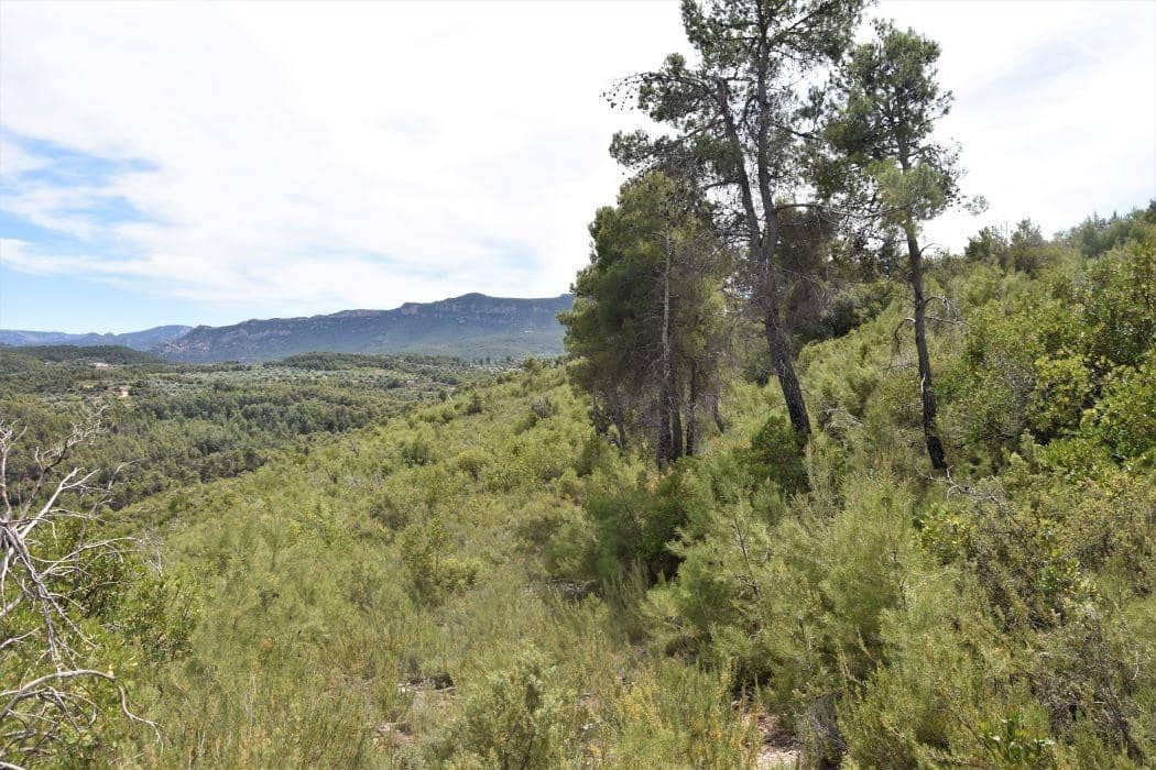 Finca/Landehus til salg i Valderrobres - € 32.000 (Ref: 9150196)