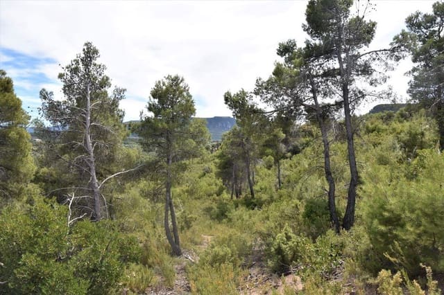 Finca/Landhuis te koop in Valderrobres - € 32.000 (Ref: 9150196)