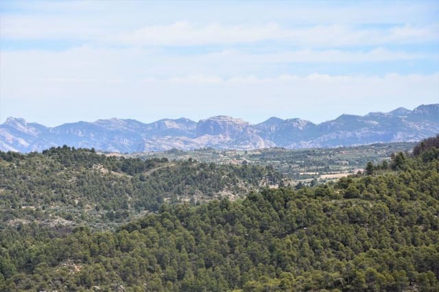 Finca/Landhuis te koop in Valderrobres - € 32.000 (Ref: 9150196)