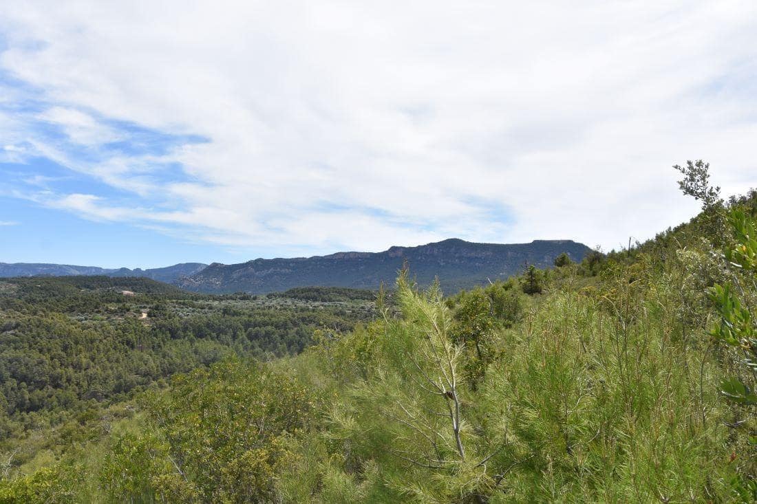 Finca/Landehus til salg i Valderrobres - € 32.000 (Ref: 9150196)