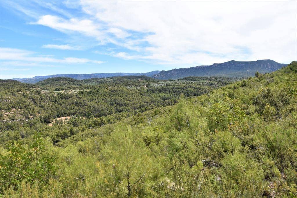 Finca/Landehus til salg i Valderrobres - € 32.000 (Ref: 9150196)