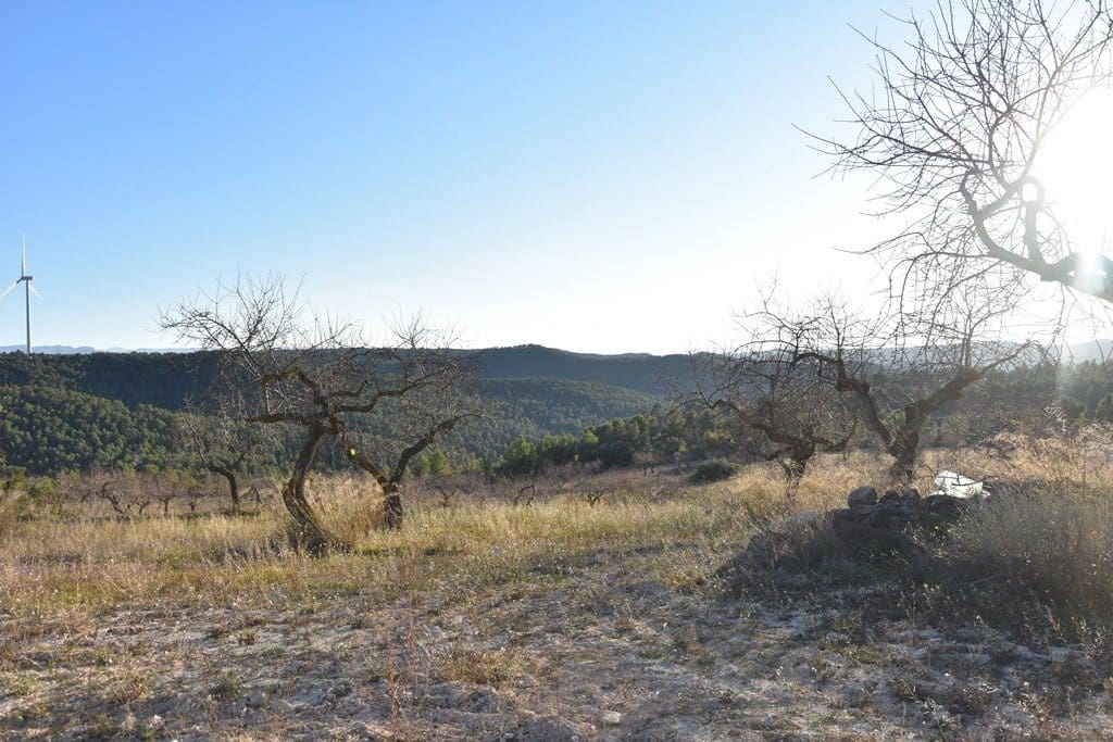 Finca/Landehus til salg i Caseres - € 40.000 (Ref: 9150200)