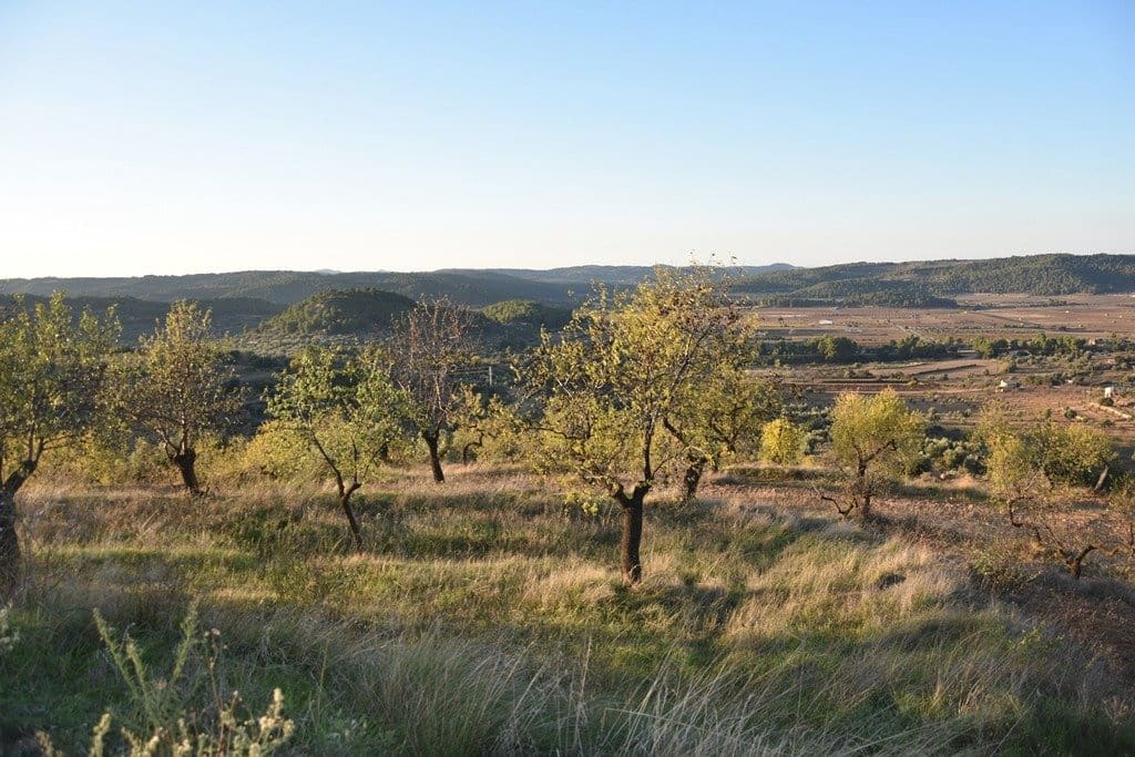 Finca/Landehus til salg i Caseres - € 40.000 (Ref: 9150200)