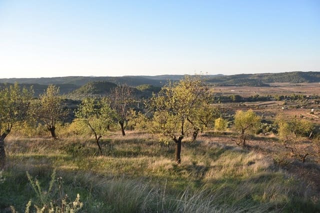 Finca/Landehus til salg i Caseres - € 40.000 (Ref: 9150200)