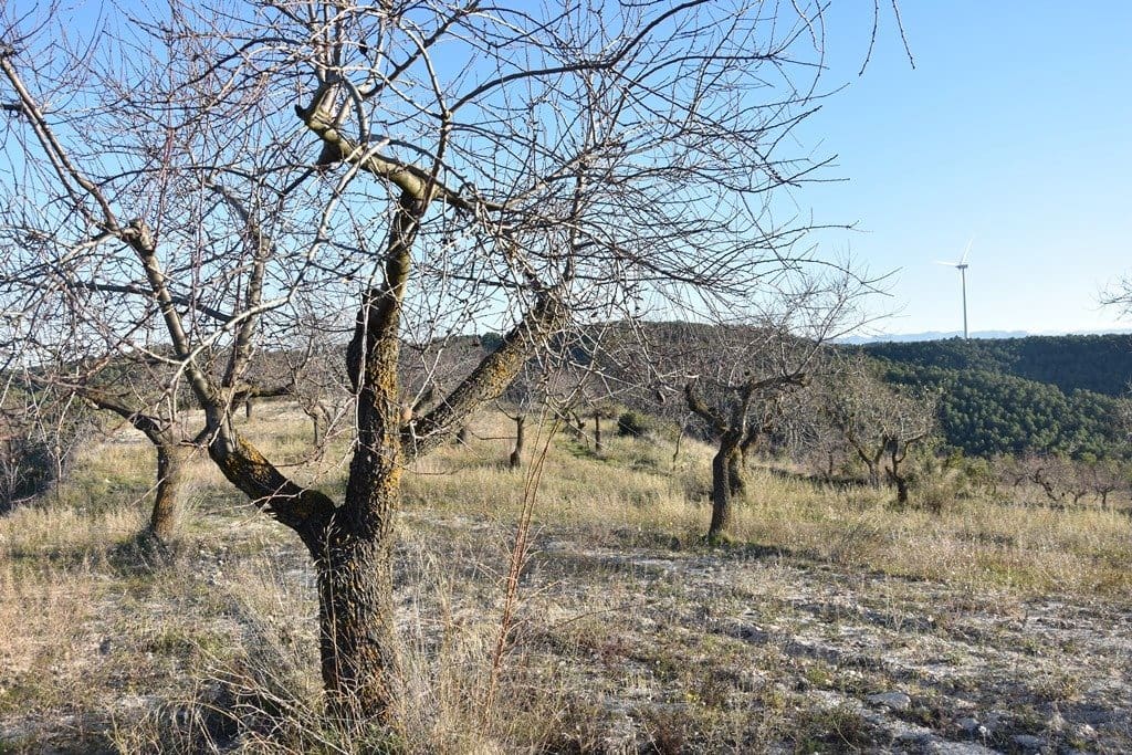 Finca/Landehus til salg i Caseres - € 40.000 (Ref: 9150200)