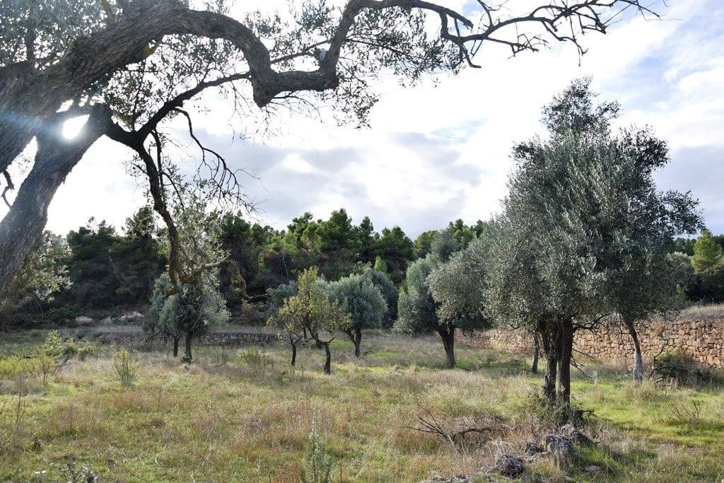 Finca/Landhuis te koop in Valderrobres - € 12.000 (Ref: 9150203)